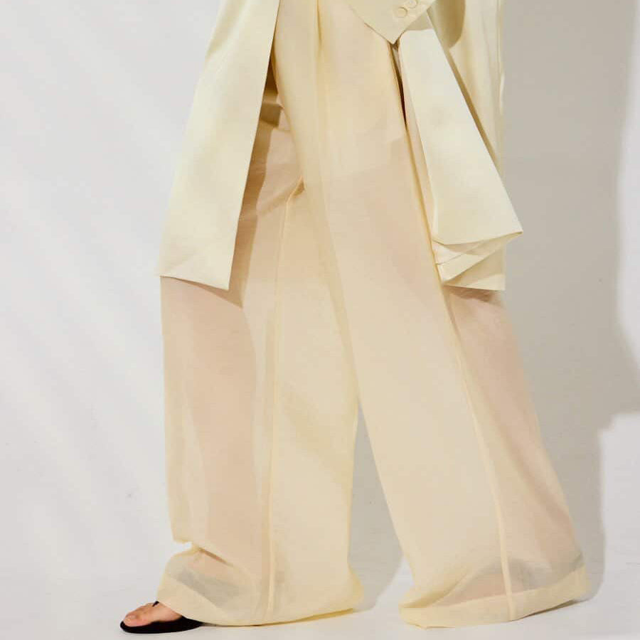 Sheer Pants