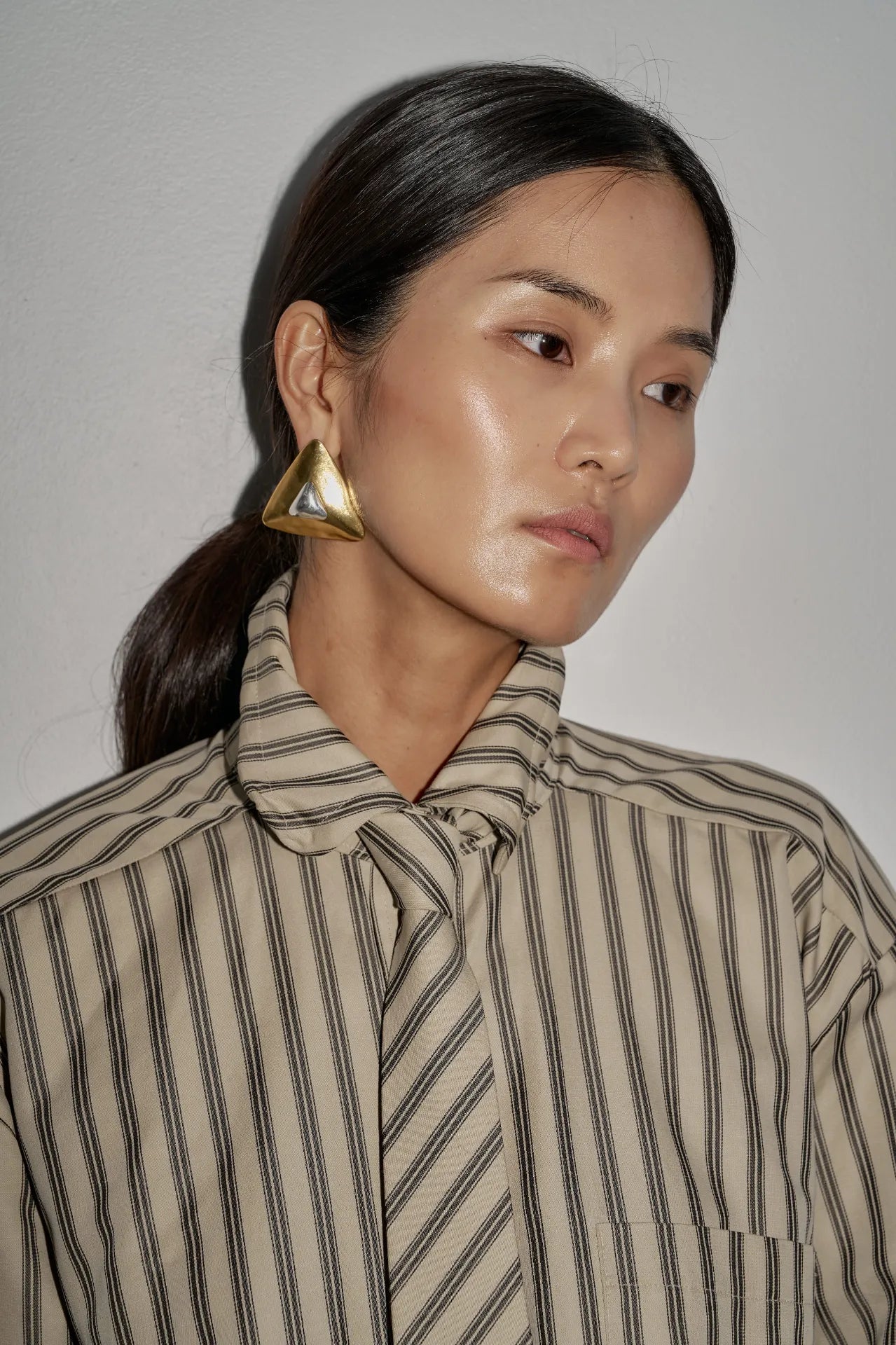 The Striped Shirt Dress